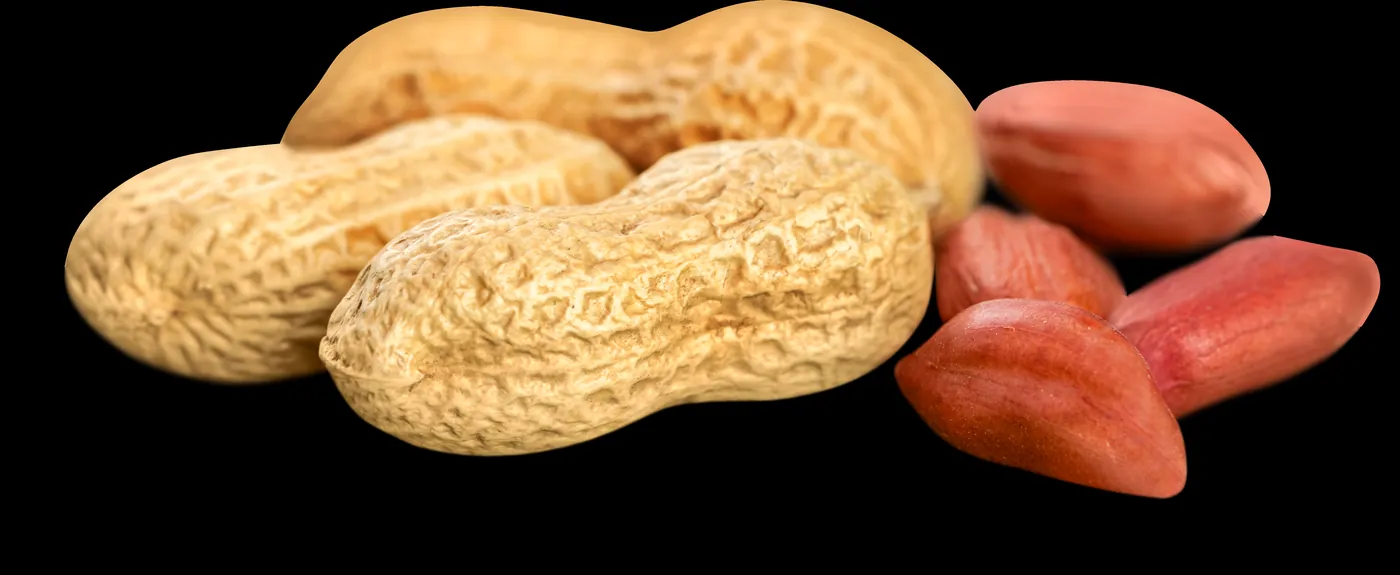 Арахис