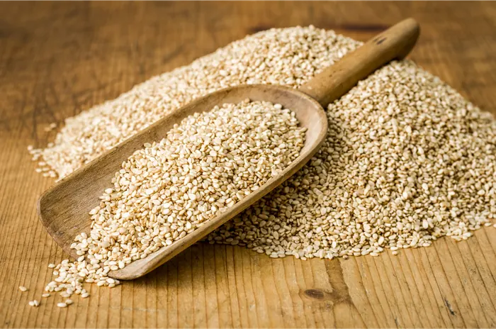 Oilseeds & Kernels