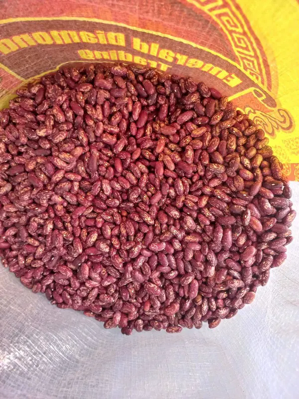 Red kidney beans in export bag