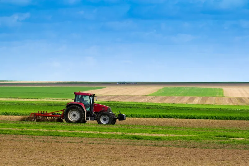 Field in Uzbekistan